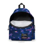 pak'r acolchoado ng peixe Eastpak mochilas 484BB8 - Image 4