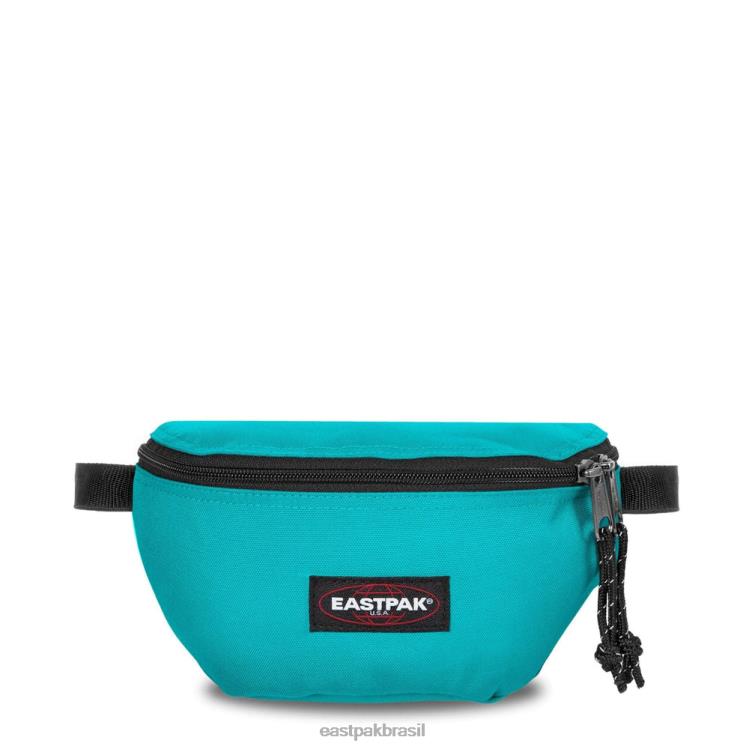 saltador água ártica Eastpak bolsas 484BB308